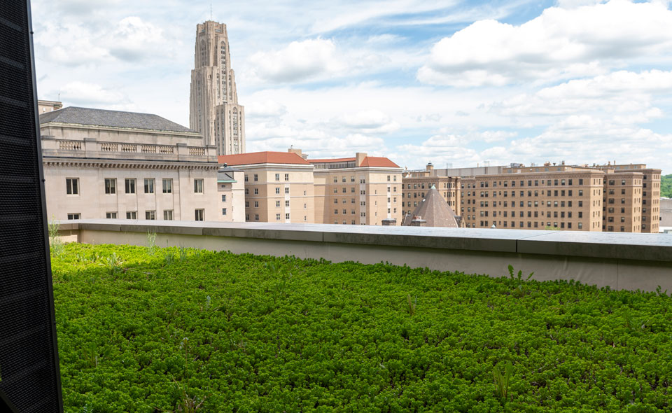 green space overlooking the Cathedral of Learning
